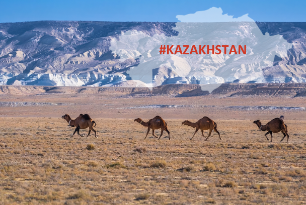 Kazakh2